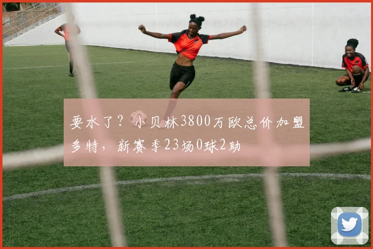 要水了？小贝林3800万欧总价加盟多特，新赛季23场0球2助